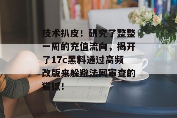技术扒皮！研究了整整一周的充值流向，揭开了17c黑料通过高频改版来躲避法网审查的猫腻！